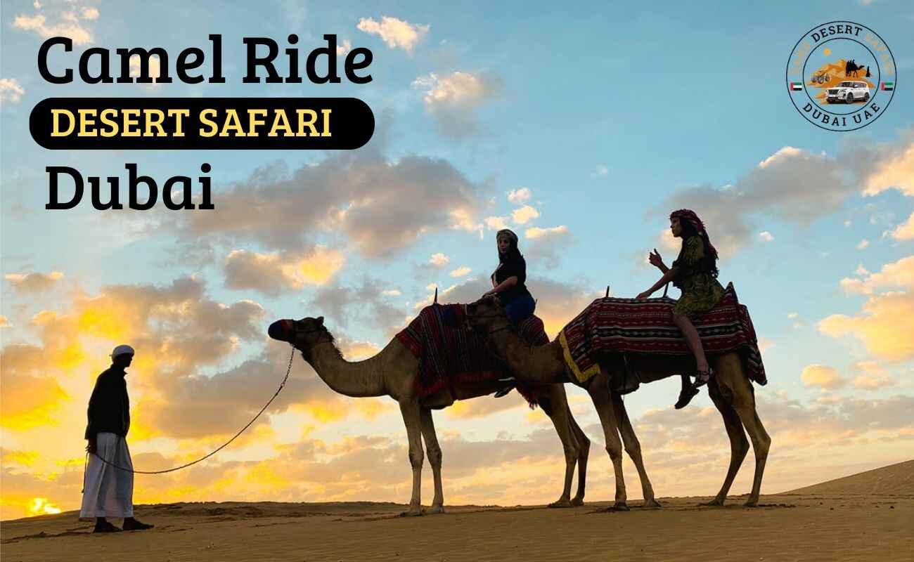 Camel Trip Dubai