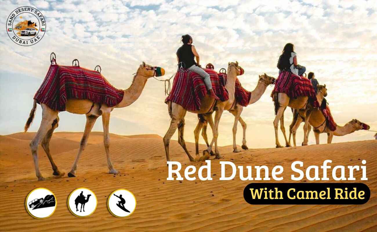 Red Dune Safari With Camel Ride Dubai
